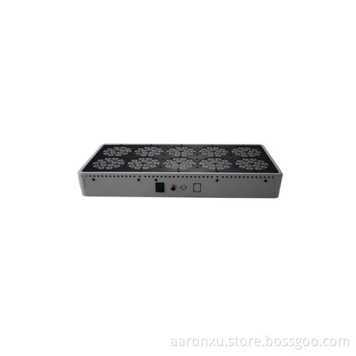 full spectrum Apollo 10 led grow light